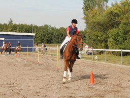 img_7475_web